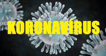 koronavirus-nyito koronavirus-nyito