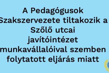 Szőlő